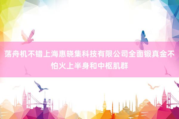 荡舟机不错上海惠晓集科技有限公司全面锻真金不怕火上半身和中枢肌群