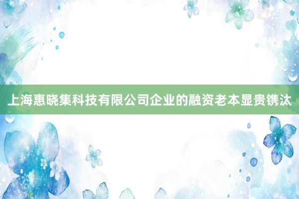 上海惠晓集科技有限公司企业的融资老本显贵镌汰