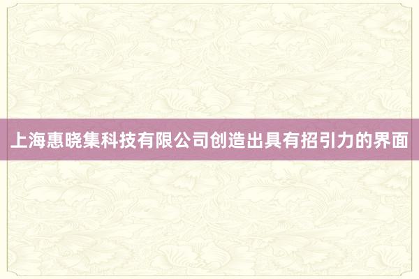 上海惠晓集科技有限公司创造出具有招引力的界面